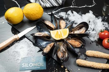 Mussels and Shellfish Silomol