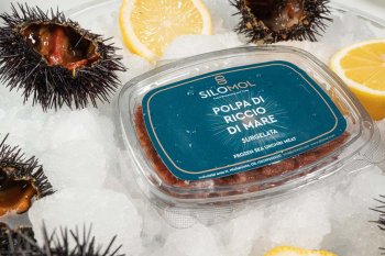 Urchins Frozen Silomol