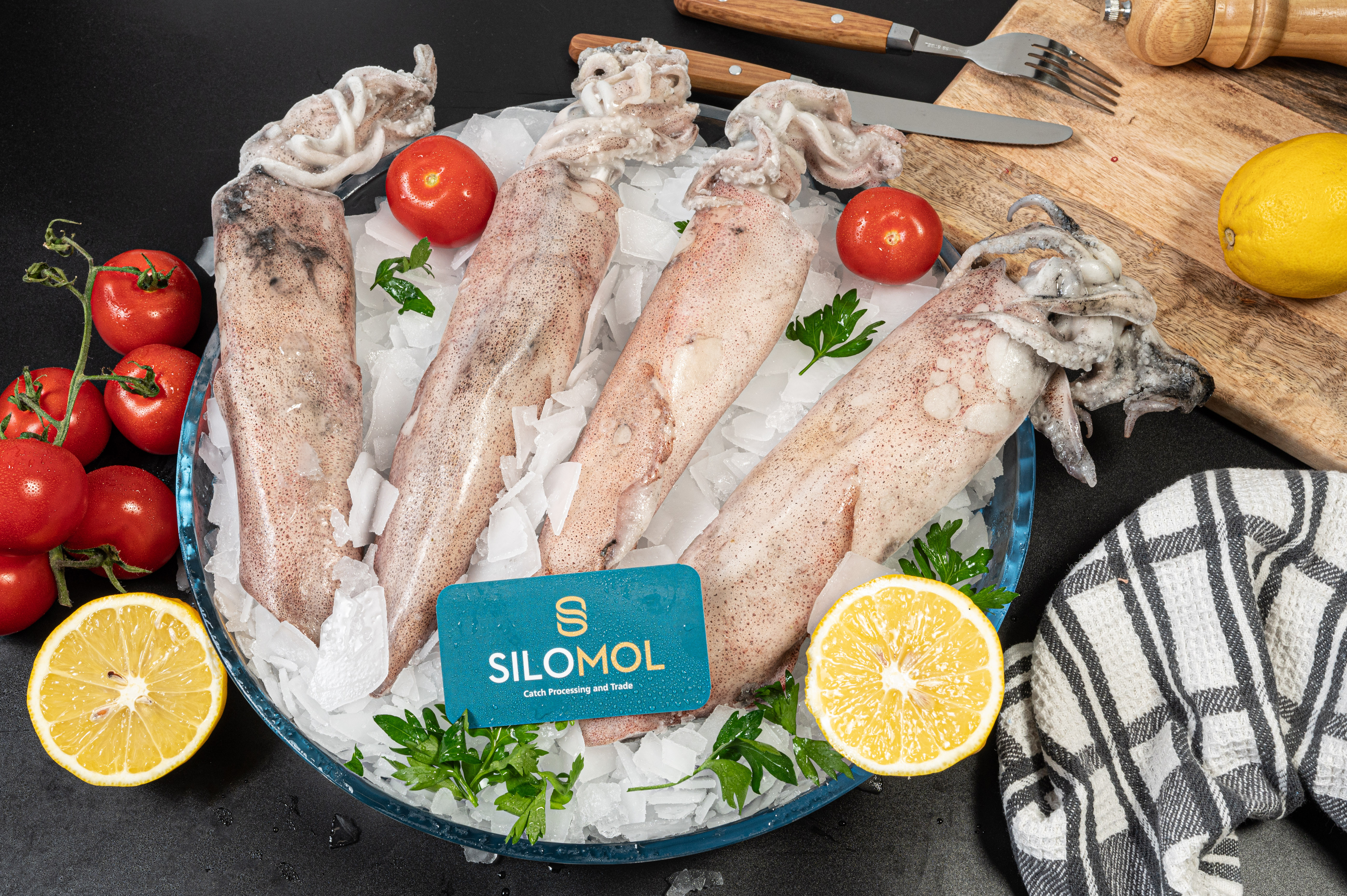 Squid - Silomol