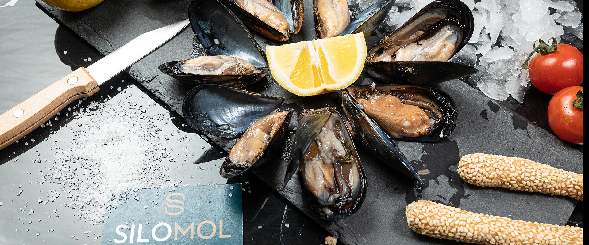 Mussels and Shellfish - Silomol
